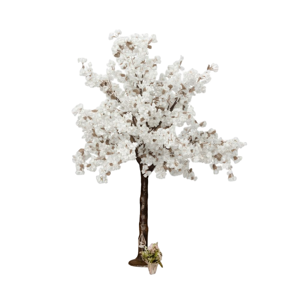 White Cherry Blossom Tree