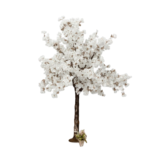 White Cherry Blossom Tree