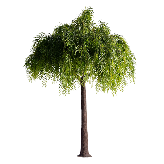 Luxury Willow Tree Wedding Decor