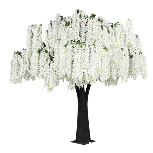 Luxury Wisteria Tree